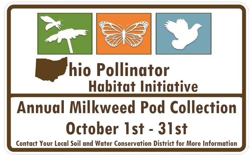 NEW Common Milkweed Seed Pod Collection Fact Sheet Photo (1) (1)