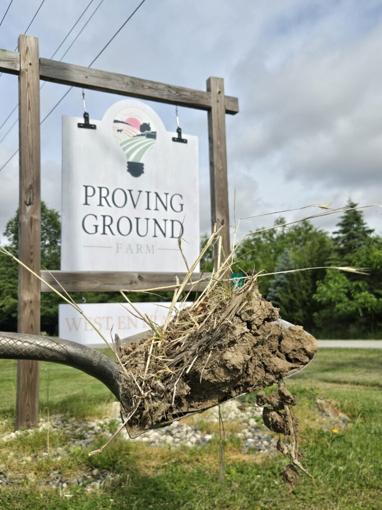 provving_grounds-20260609_100551